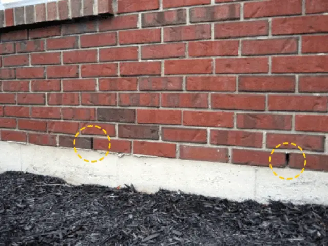 Weep holes on the exterior of a building