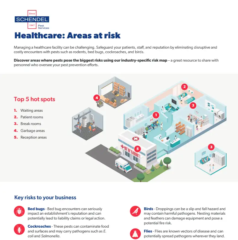 Healthcare: Areas at Risk