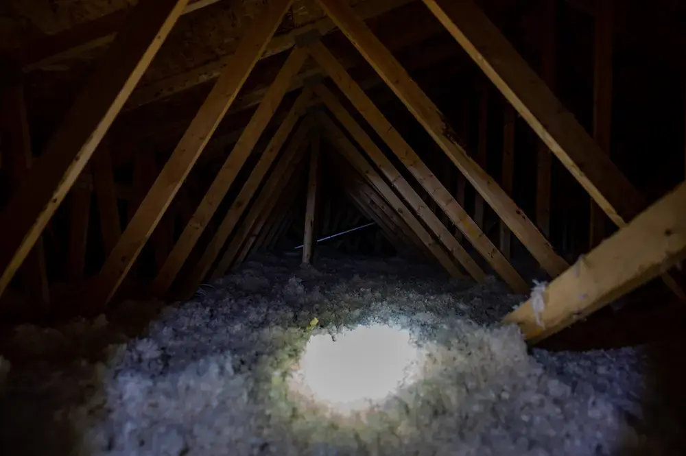 Homeowner searching their attic for pests