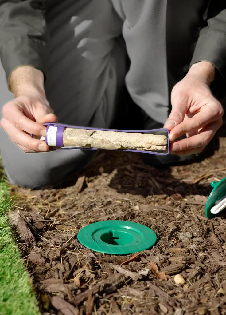 Schendel Pest Services technician inspecting a termite bait station on a commercial property