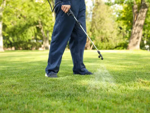Treating a yard for pests as part of an integrated pest management service plan. Contact Schendel Pest Services to sign up today.