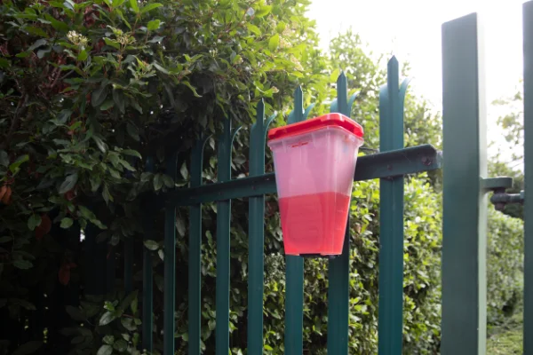 Pink EcoCatch device posted on a green fence outdoors.